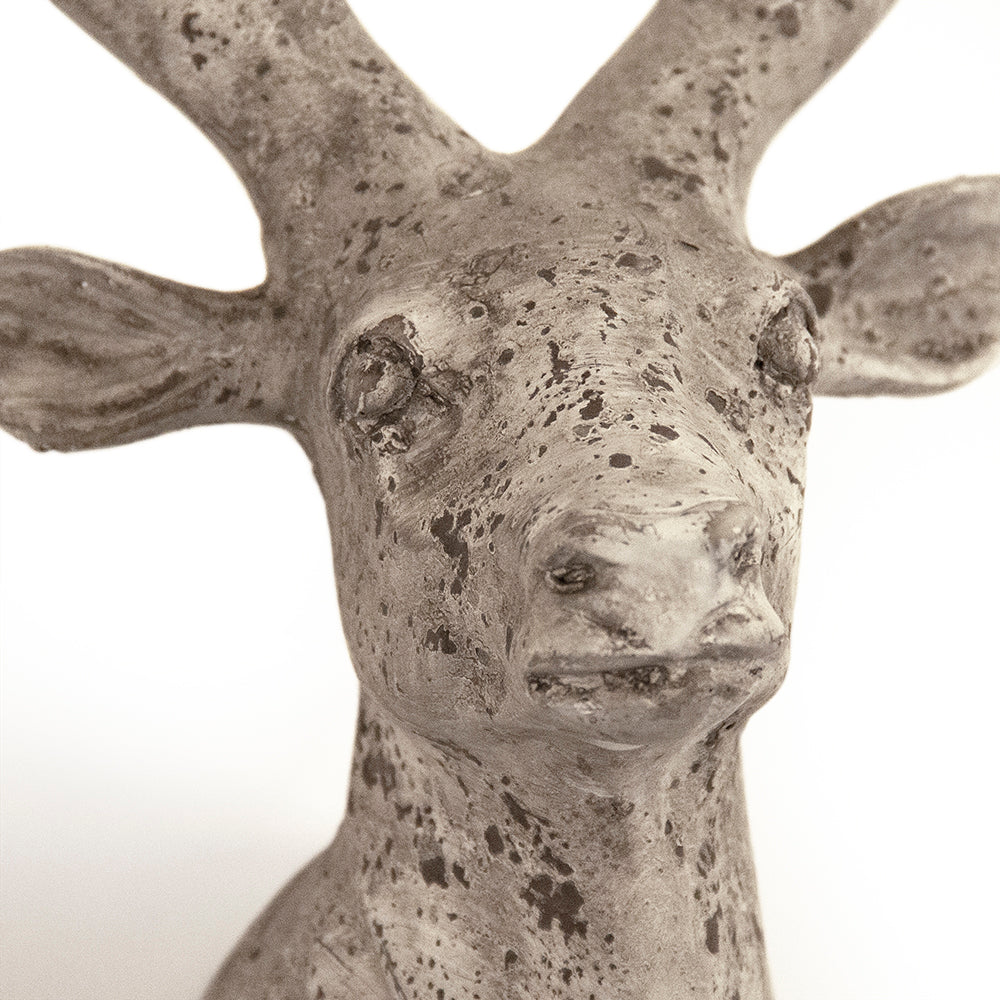 Deer Head (6552S A344)