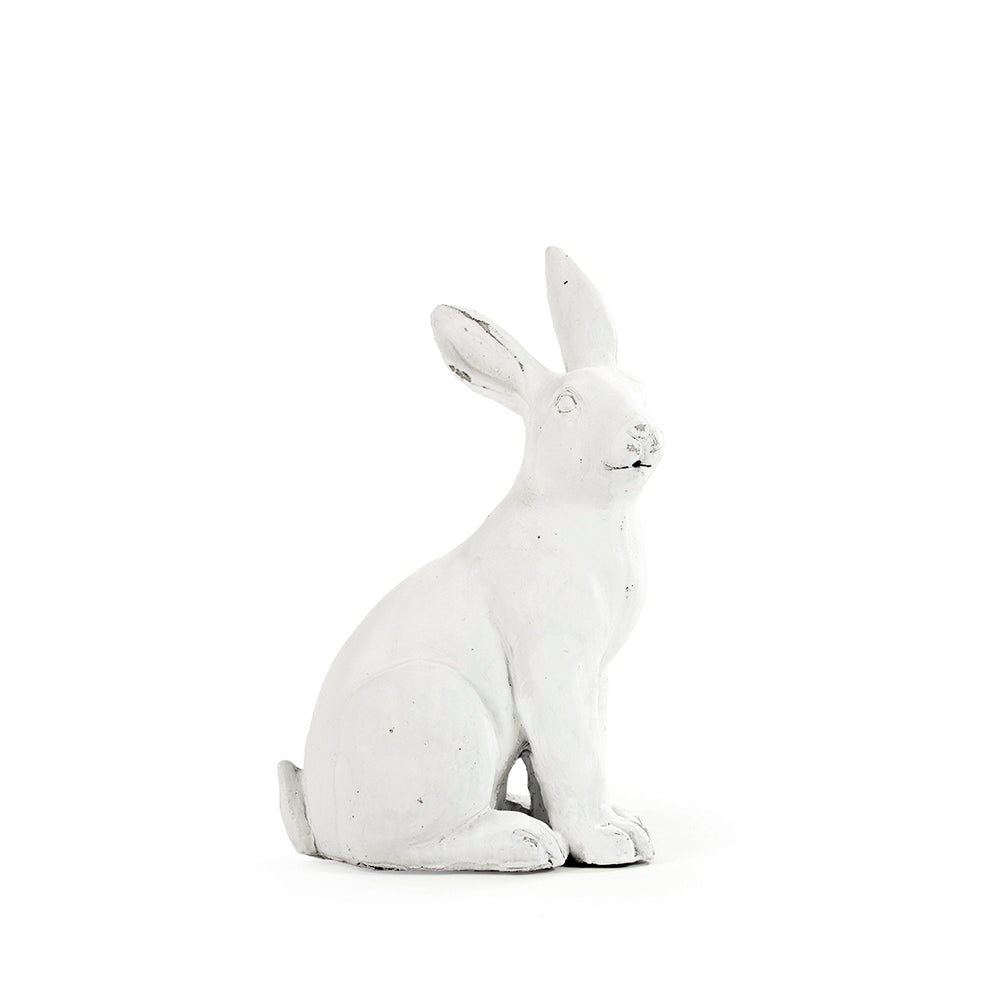 Rabbit (8353S)