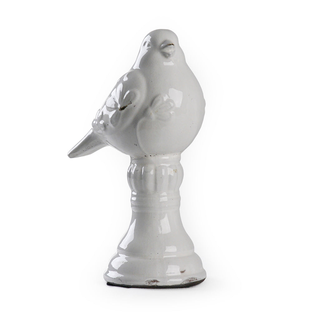 White Bird