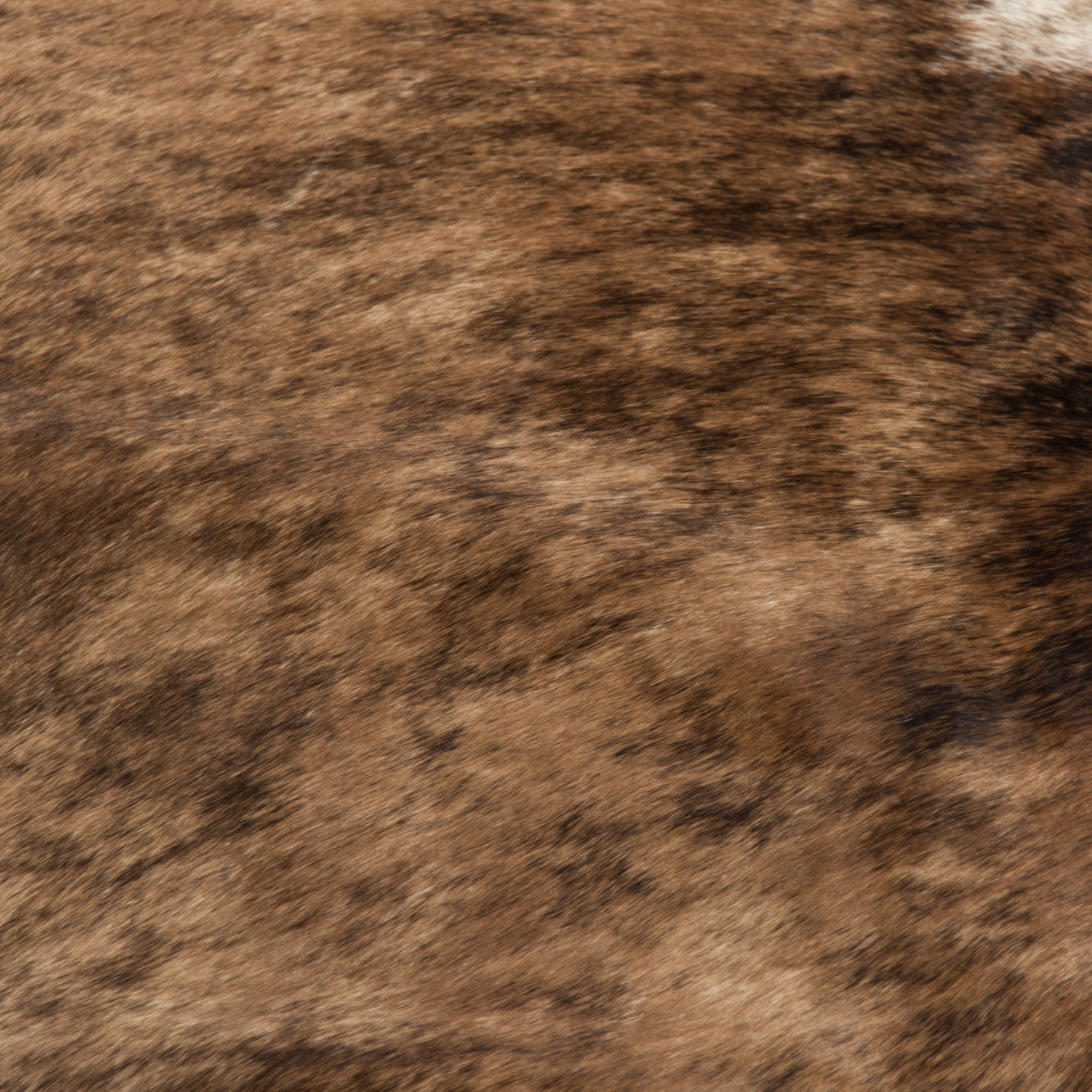 Brazilian Cowhide