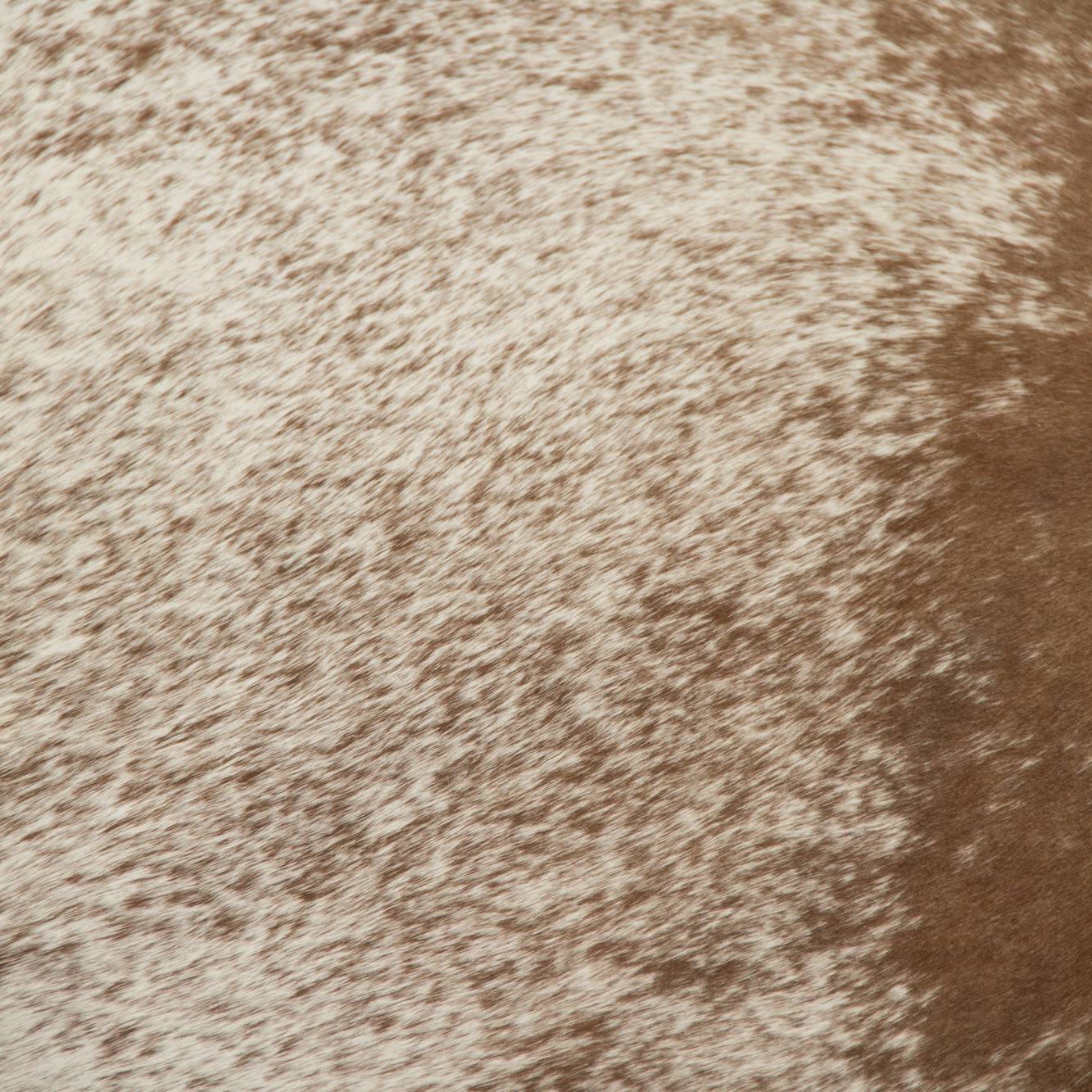 Brazilian Cowhide