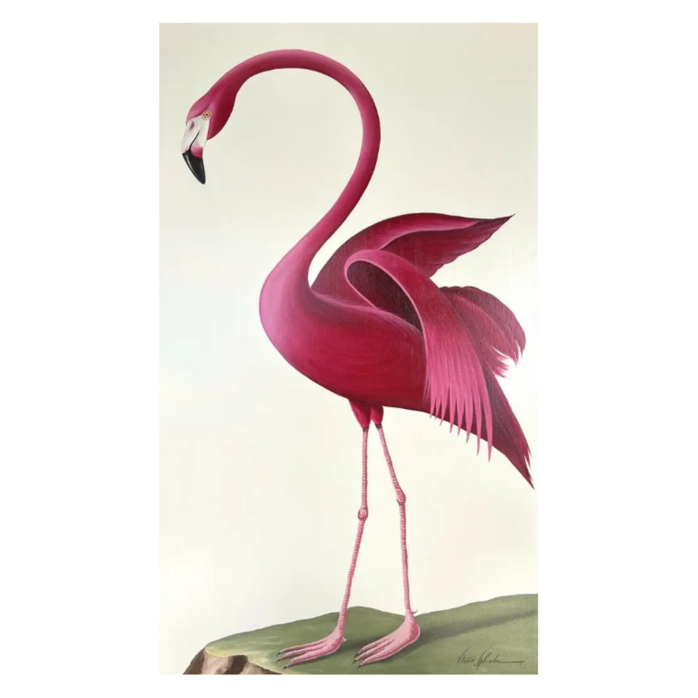 Flamingo Imperial l - Size 36"X60"