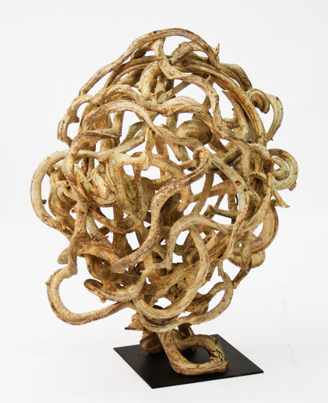 Vine Tree
