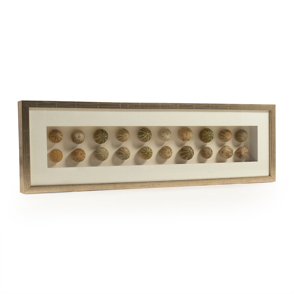 Abstract Shell Art