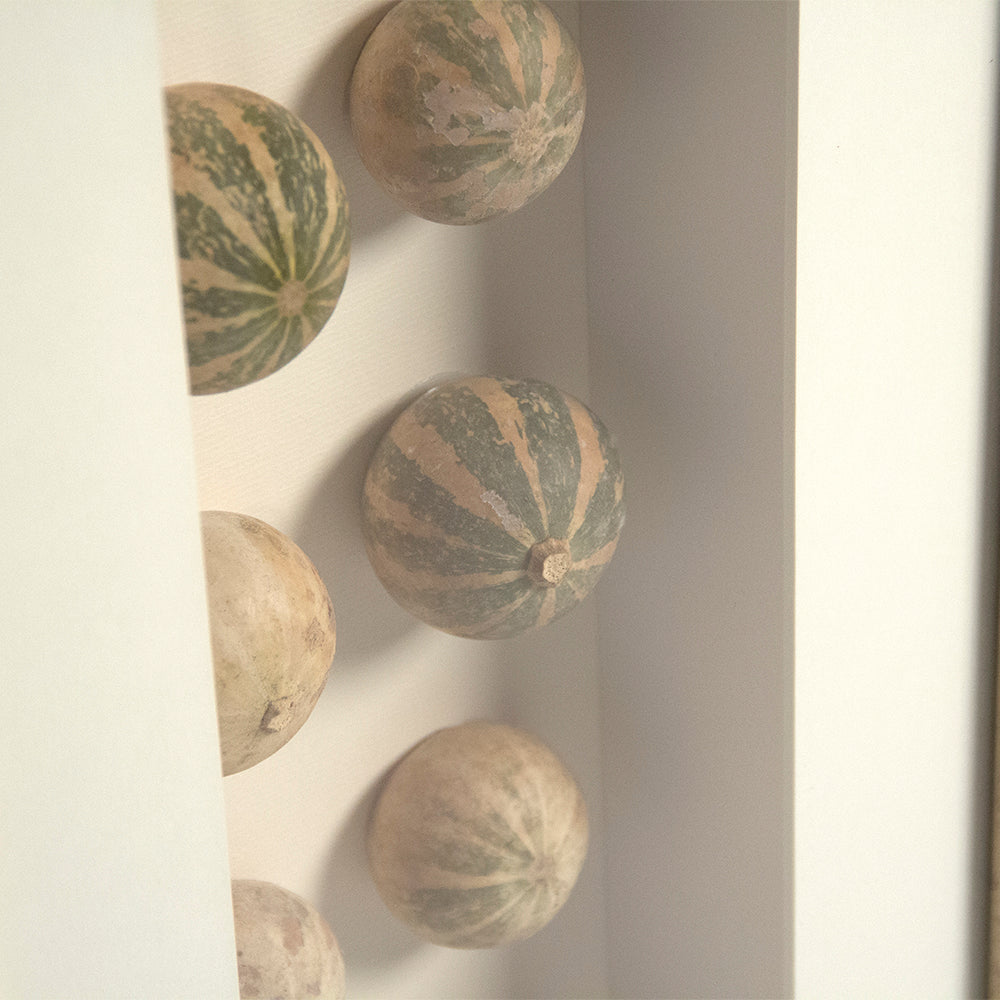 Abstract Shell Art