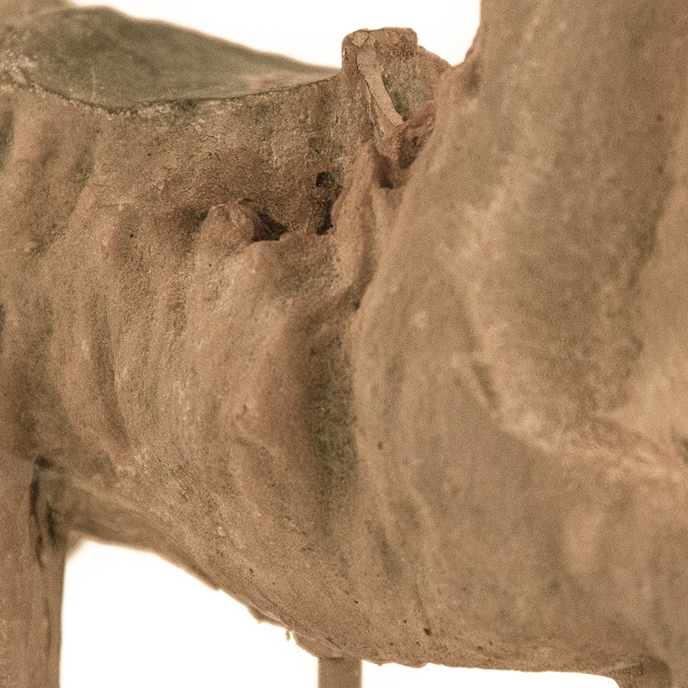 Resin Horse in Stand