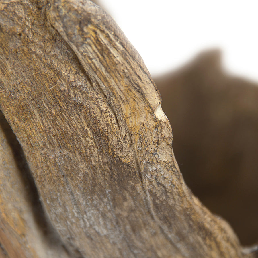 Wooden Sculpture (M)