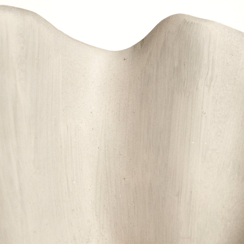 Tridacna Half Shell Bowl