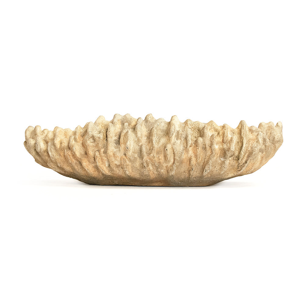 Coral Shell Bowl