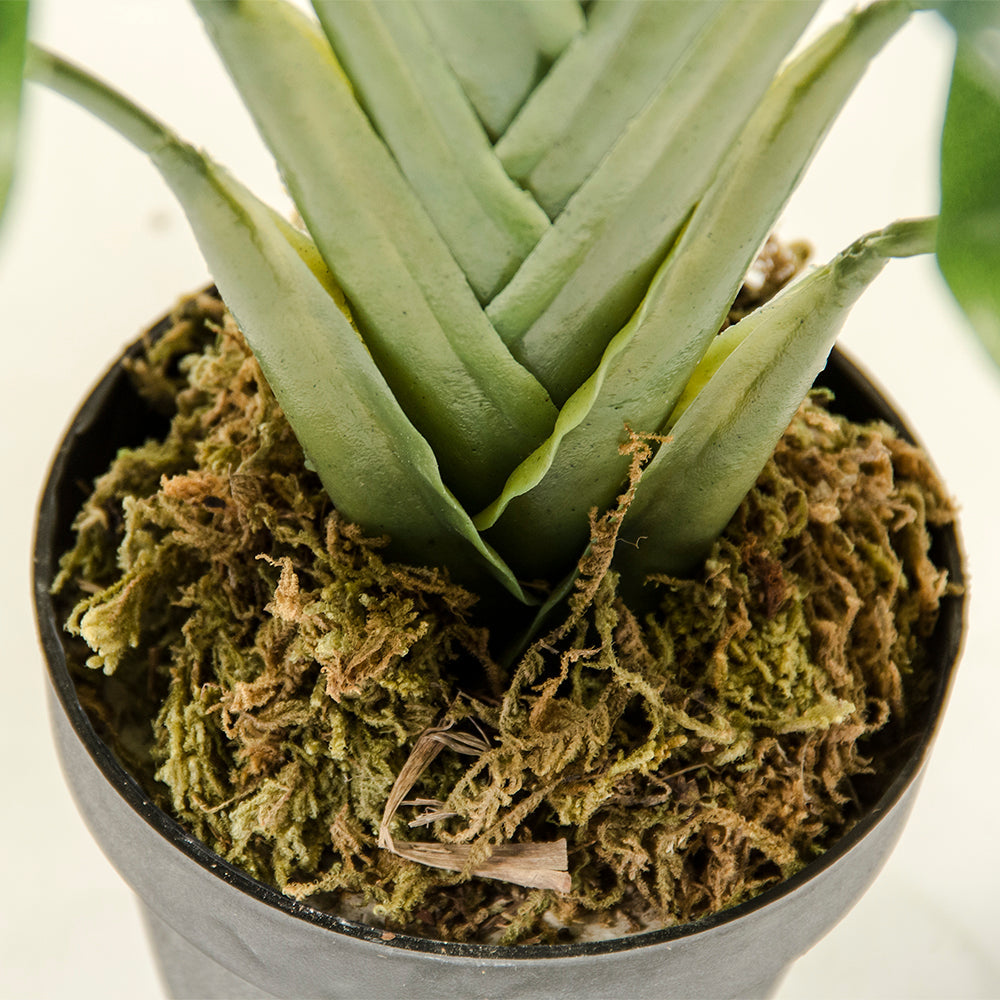 Faux Plant