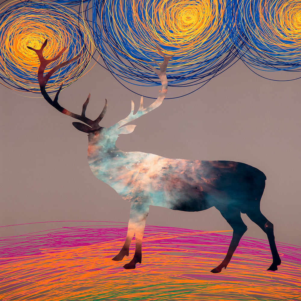 Deer Art Print Wall Art