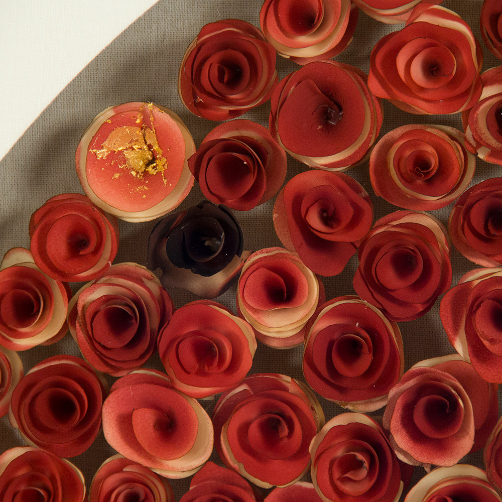Paper Roses Wall Art