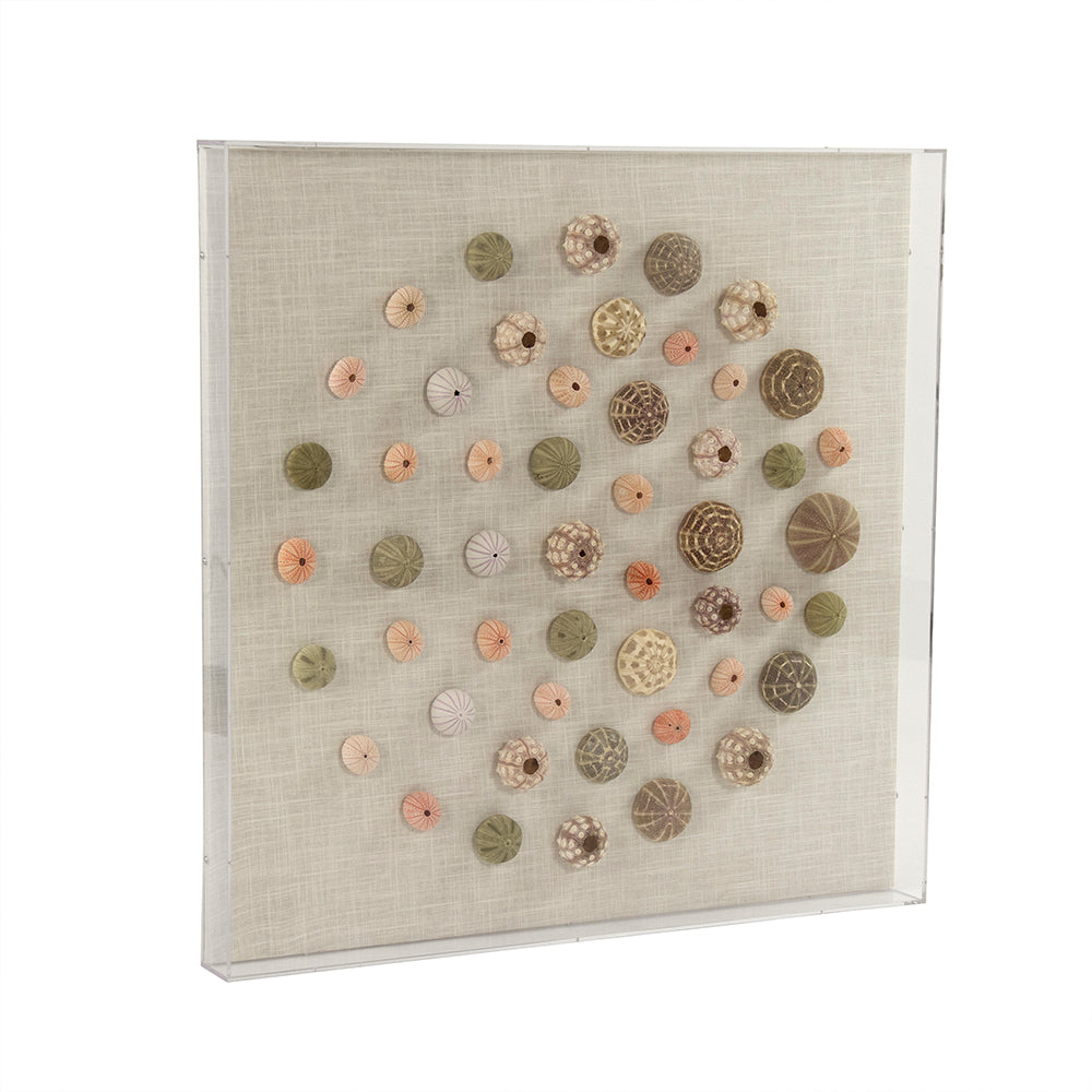 Abstract Shell in Acrylic Wall Art