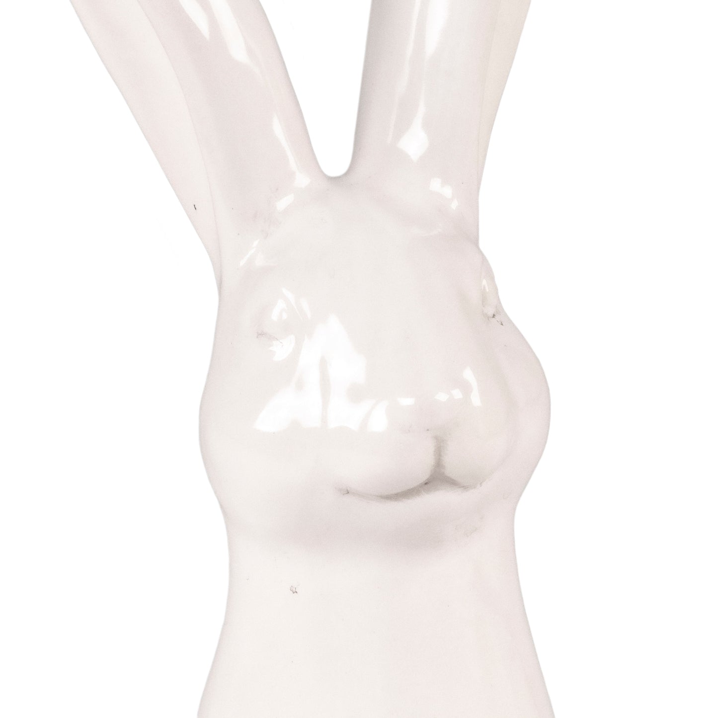 Rabbit (8418S A25)