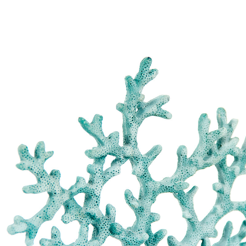 Blue Coral