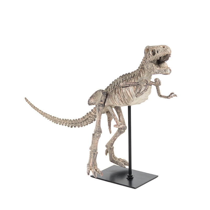 T-Rex Skeleton w/ Base