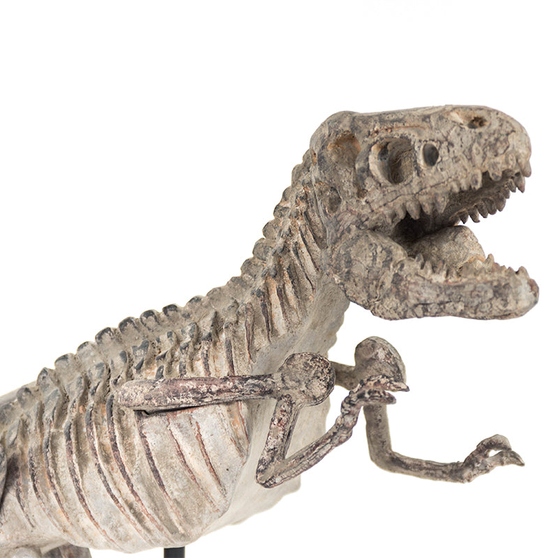 T-Rex Skeleton w/ Base