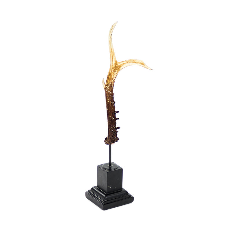 Horn Decor