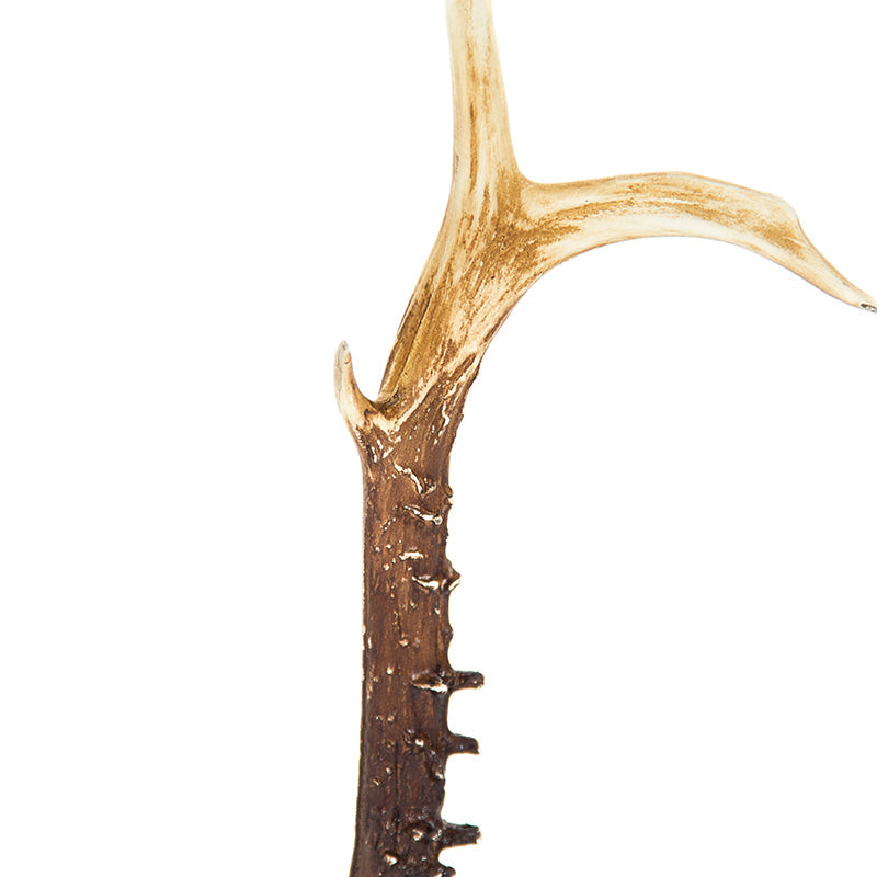 Horn Decor