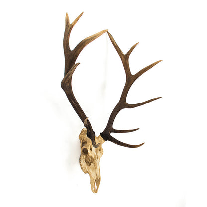 Deer Skull Wall Decor