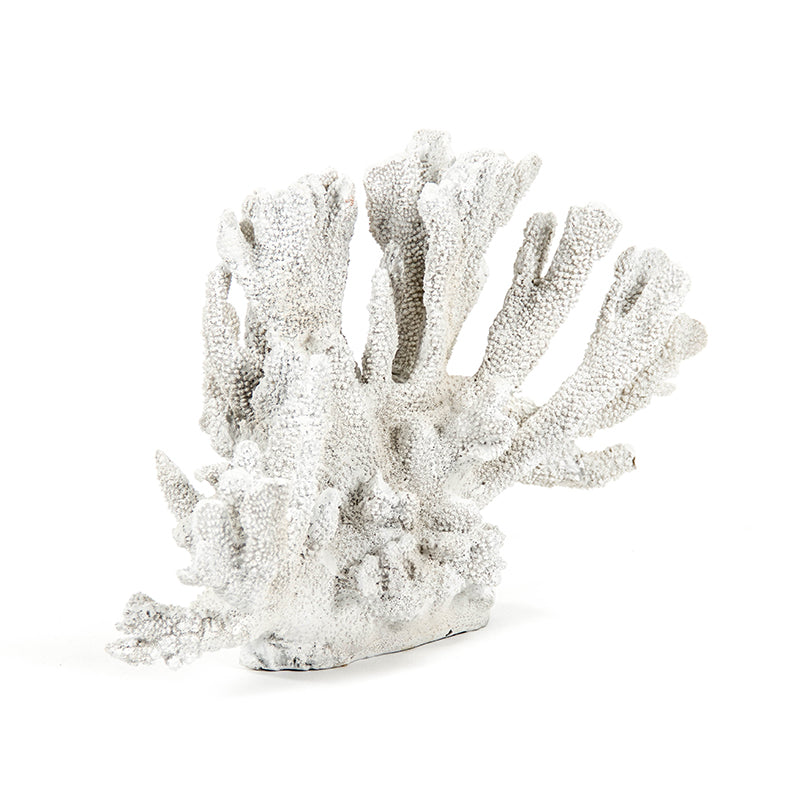 White Coral