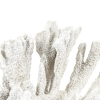 White Coral