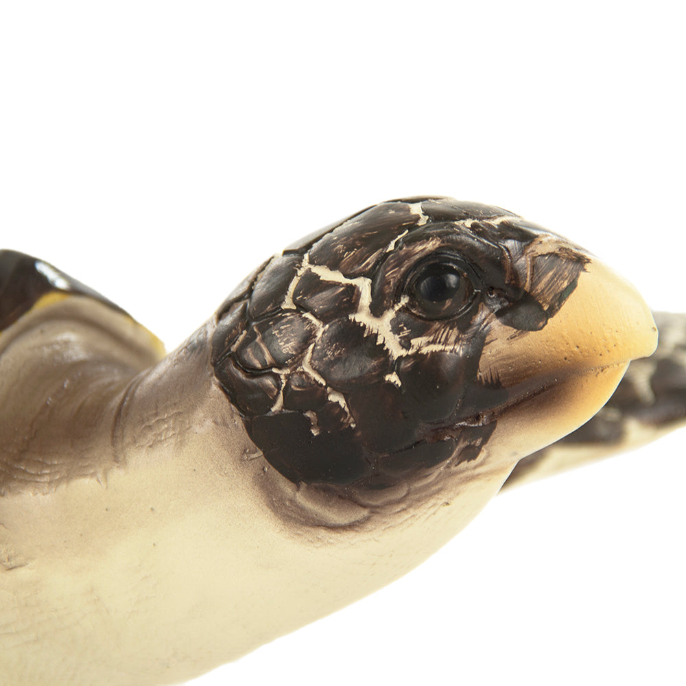 Sea Turtle Sculpture (M)