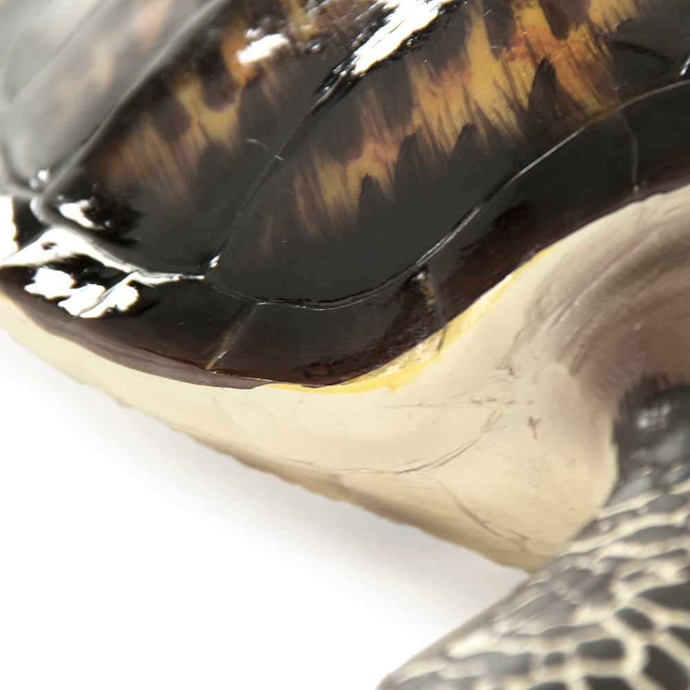 Sea Turtle Sculpture (S)