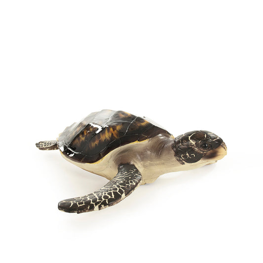 Sea Turtle Sculpture (S)