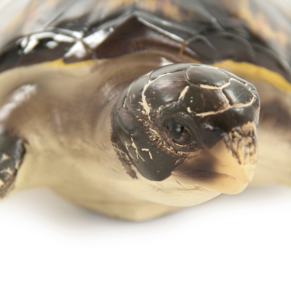 Sea Turtle Sculpture (L)