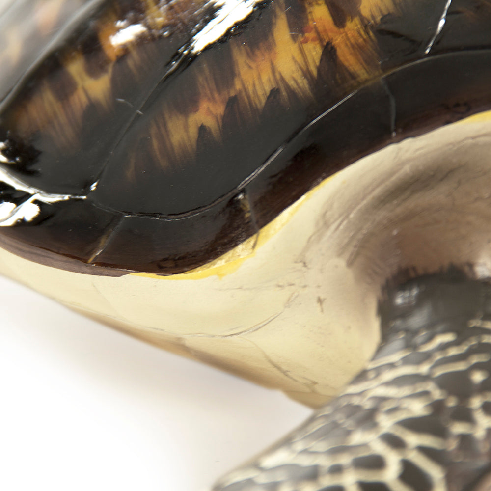 Sea Turtle Sculpture (L)