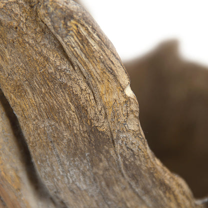 Wooden Sculpture (M)