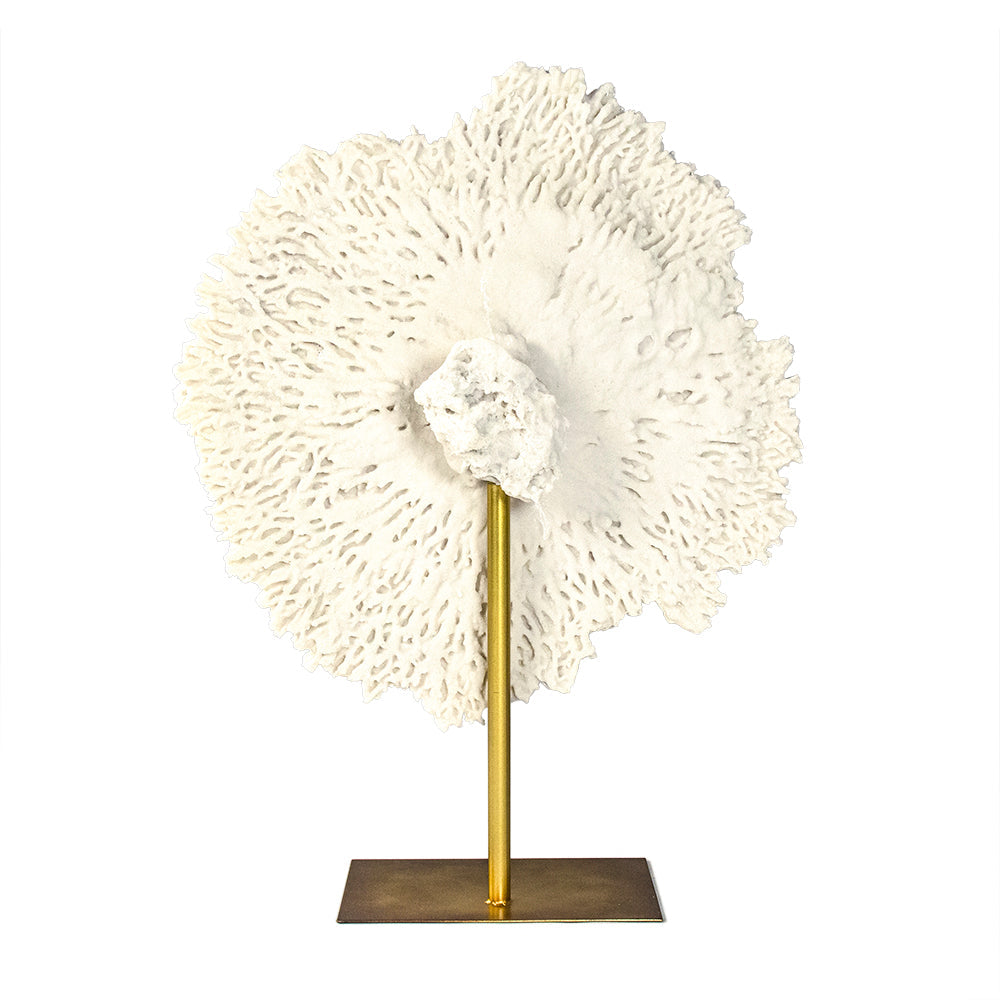 White Coral on Gold Base