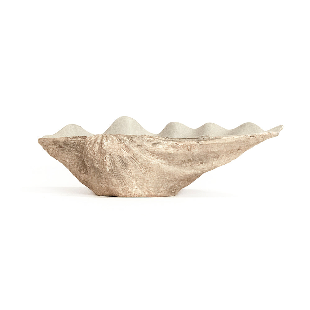 Tridacna Half Shell Bowl