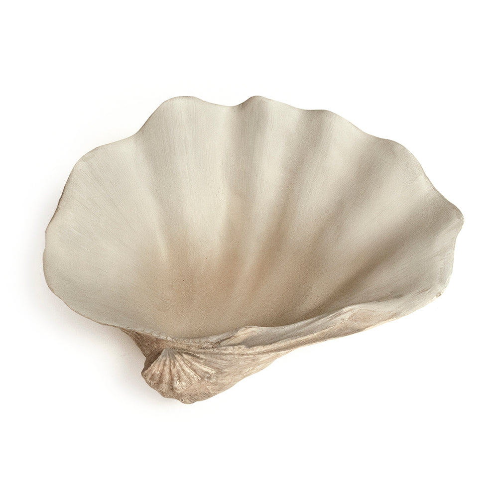Tridacna Half Shell Bowl