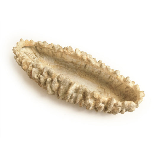 Coral Shell Bowl