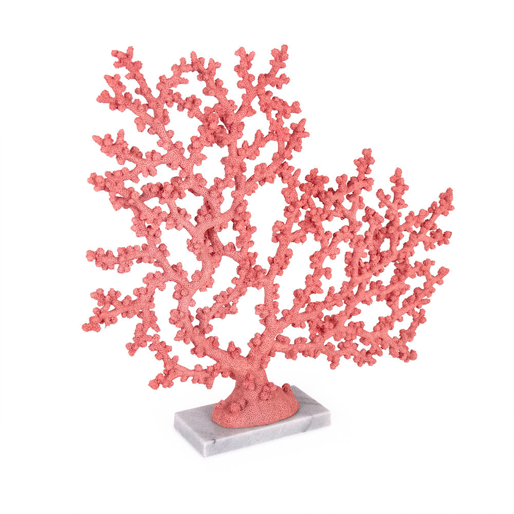 Coral Accent Décor