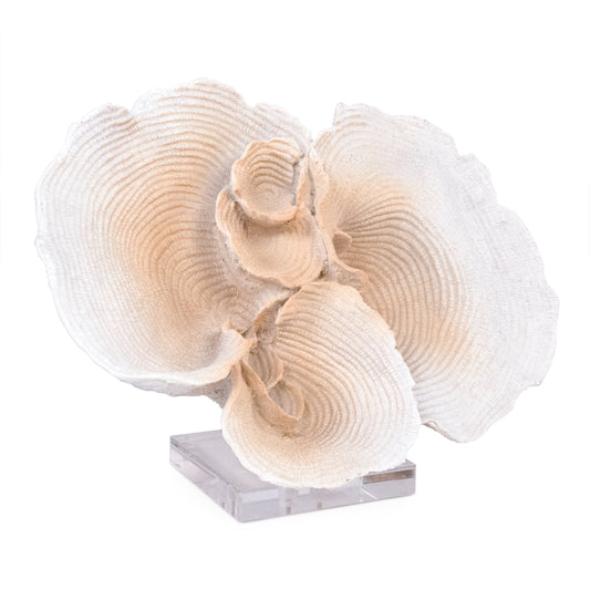 Off-White Resin Coral on Acrylic Base