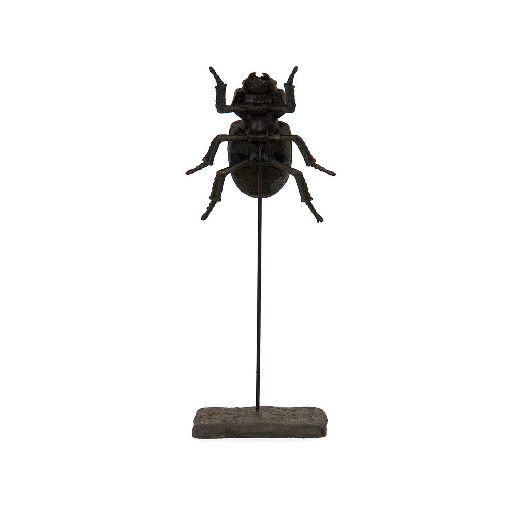 Stag Beetle on Stand