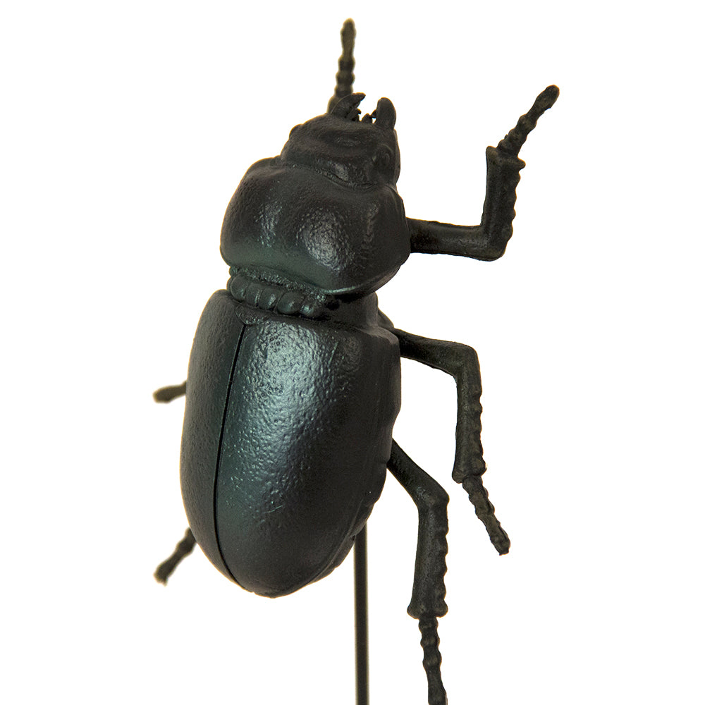 Stag Beetle on Stand