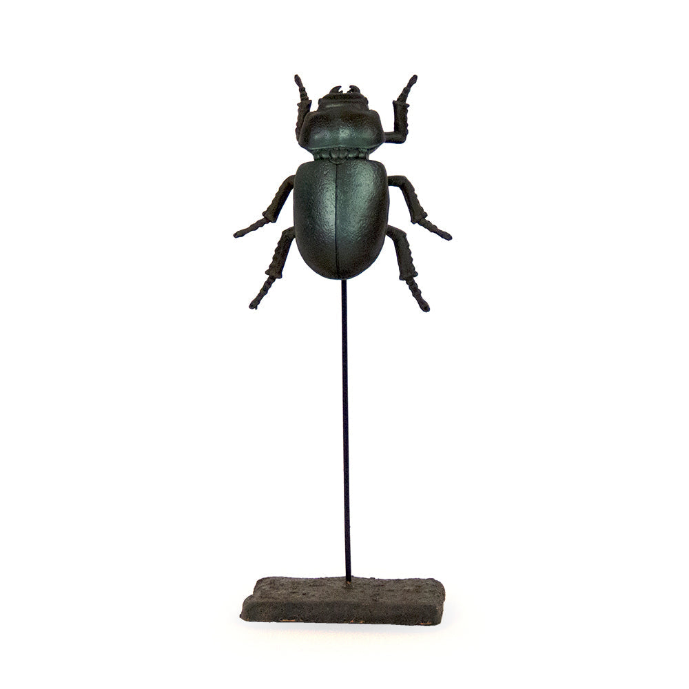 Stag Beetle on Stand