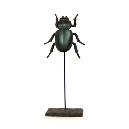 Stag Beetle on Stand