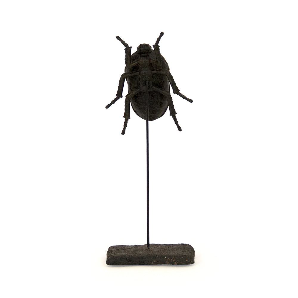 June Beetle on Stand