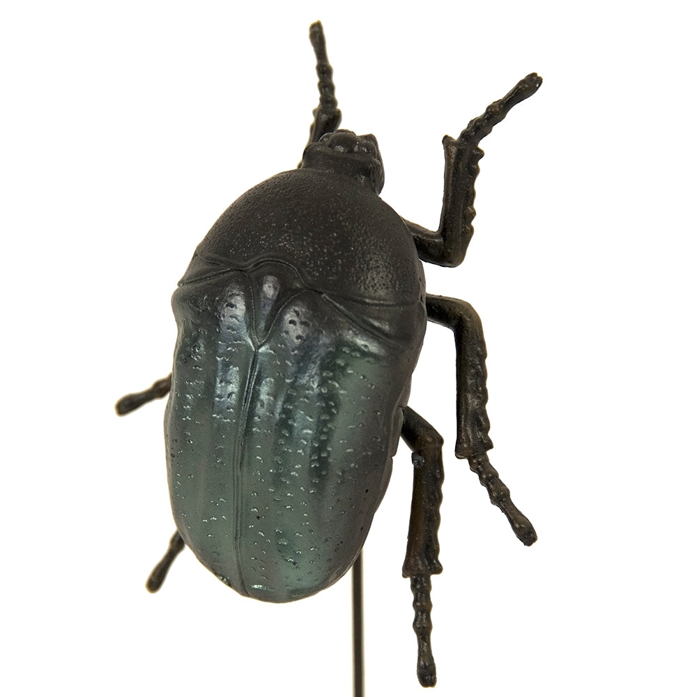 June Beetle on Stand